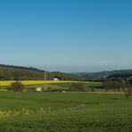 Die Seelbacher