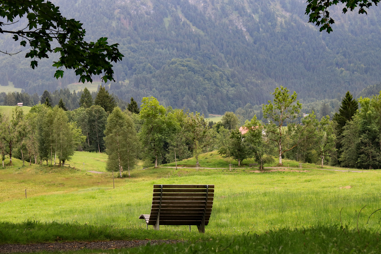 Die Seele baumeln lassen