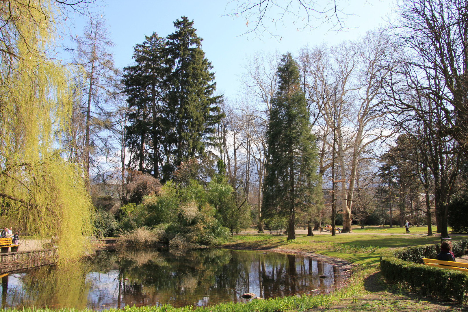 Die Seele baumeln lassen