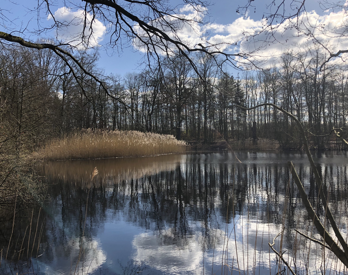 Die Seele baumeln lassen beim Spaziergang  in Coronazeiten