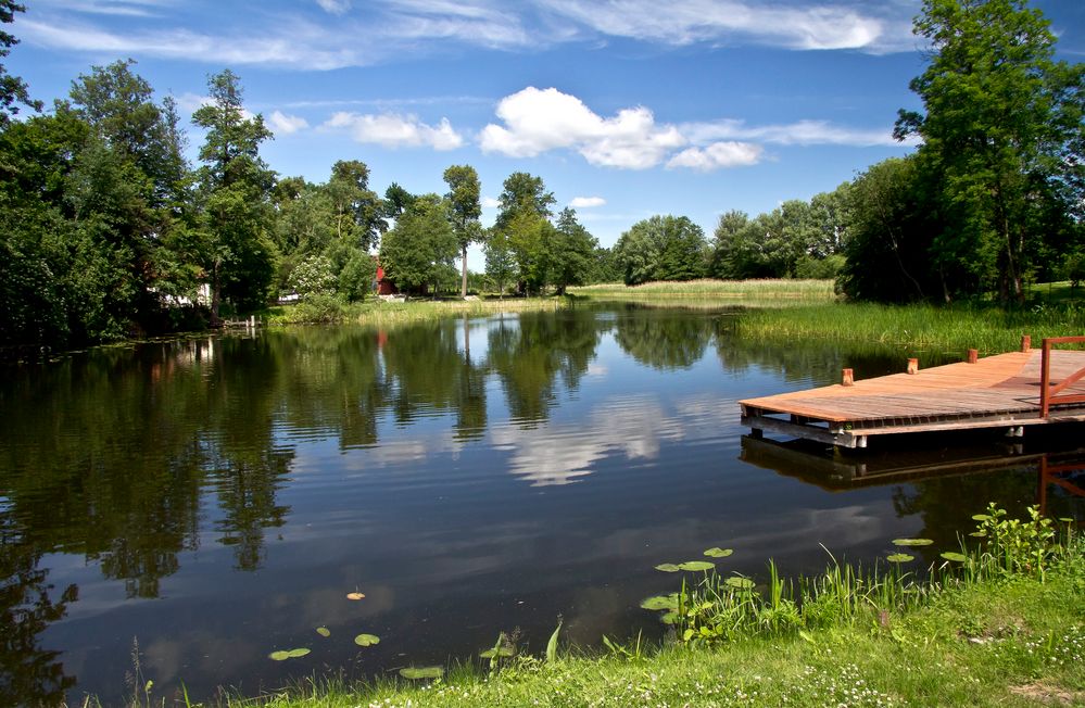 Die Seele baumeln lassen