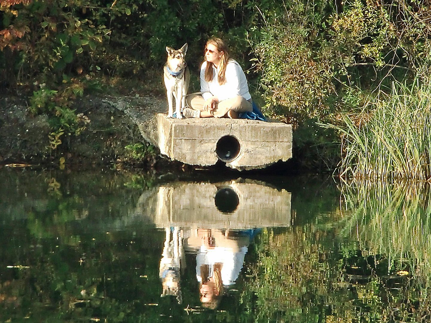 Die Seele baumelt im Herbst