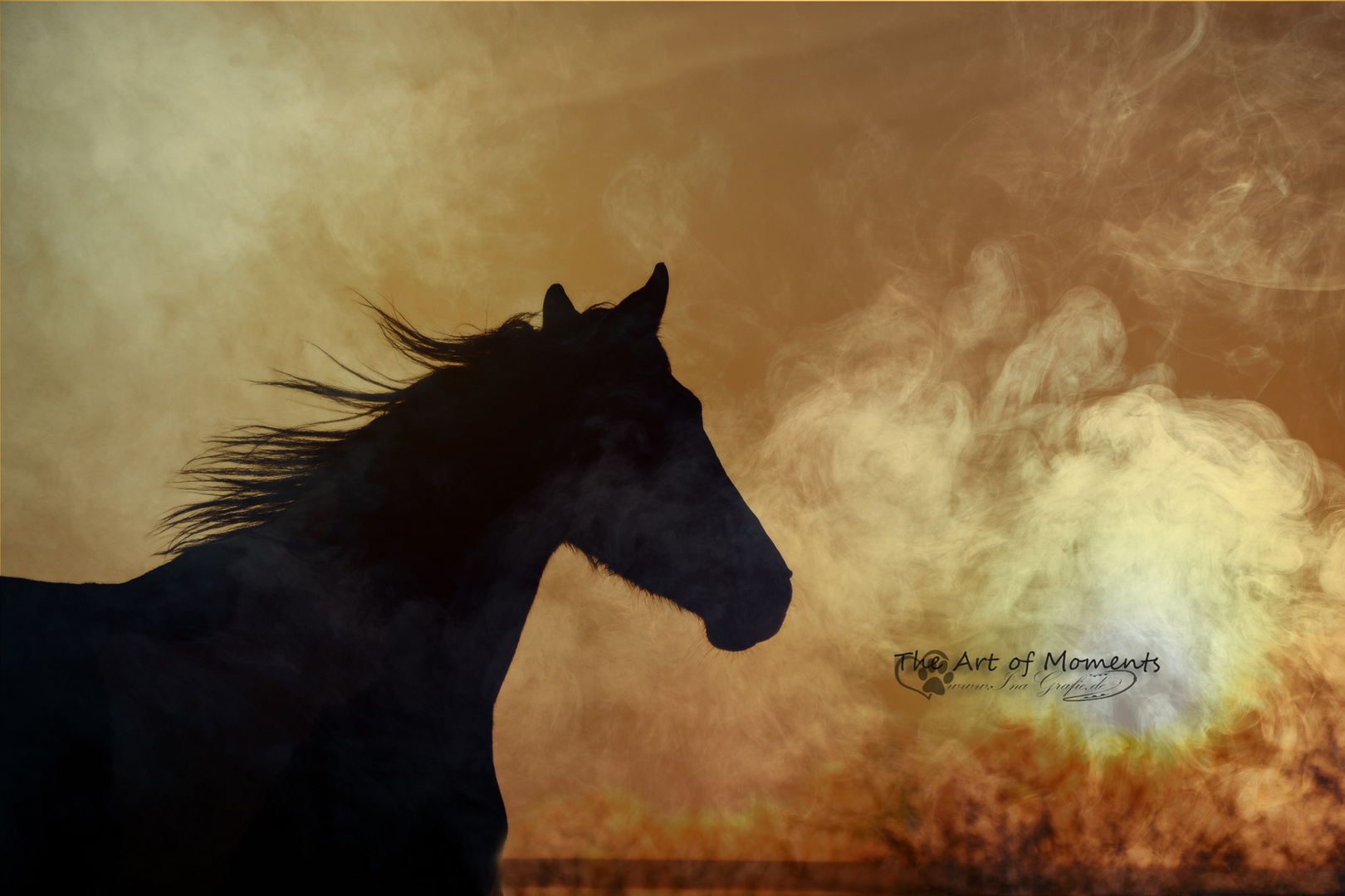 Die Seele des Pferdes öffnet sich nur denjenigen die sie suchen.