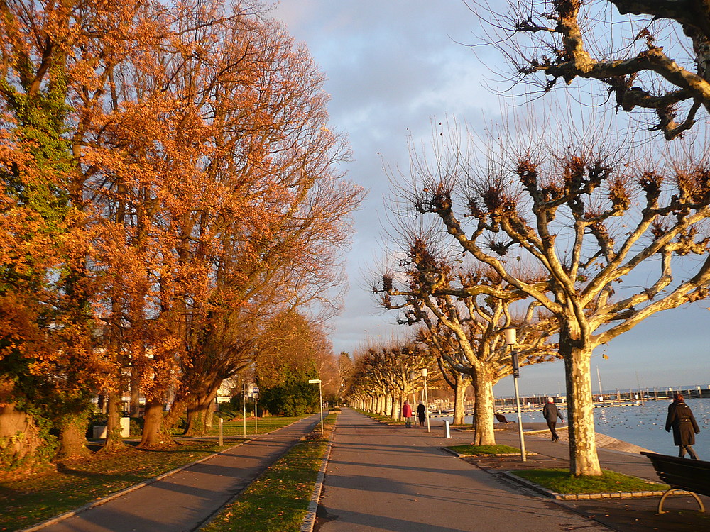 Die Seepromenade / Seestraße in Konstanz