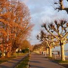 Die Seepromenade / Seestraße in Konstanz