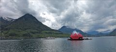 die Seerose auf dem Vierwaldstättersee