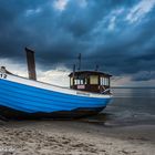 Die Seeschwalbe am Strand von Heringsdorf. 16.09.2013