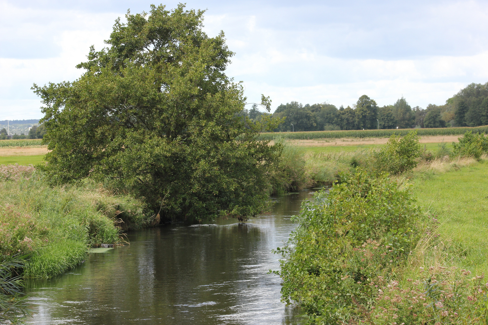 Die Seeve am Junkerssee in Hörsten