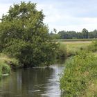 Die Seeve am Junkerssee in Hörsten