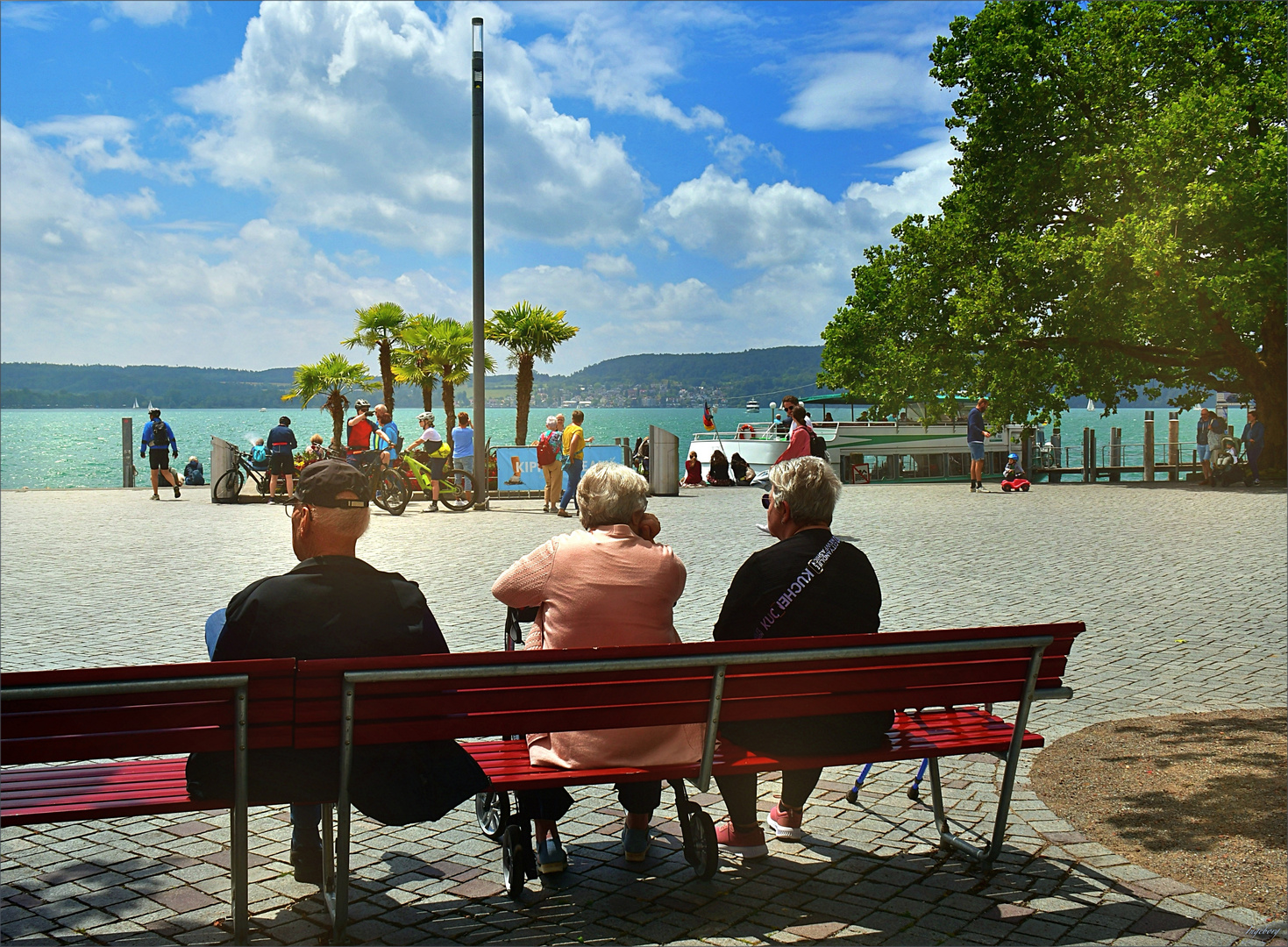 die Sehleute von Überlingen