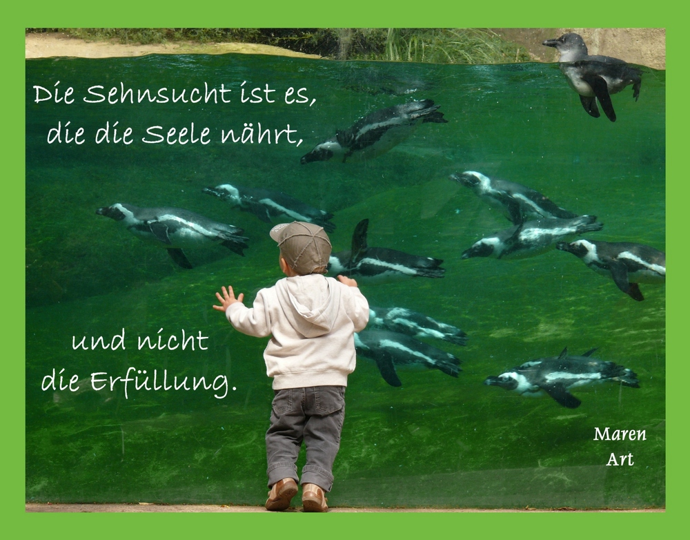 ....Die Sehnsucht....