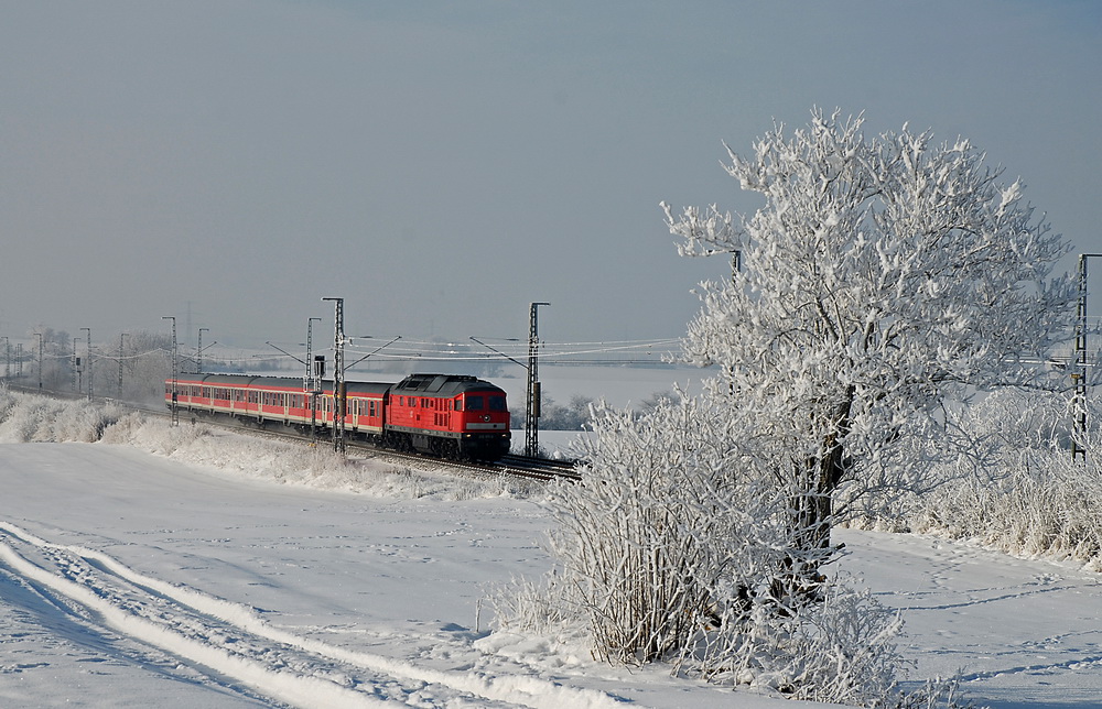 die Sehnsucht nach dem Winter