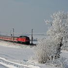 die Sehnsucht nach dem Winter