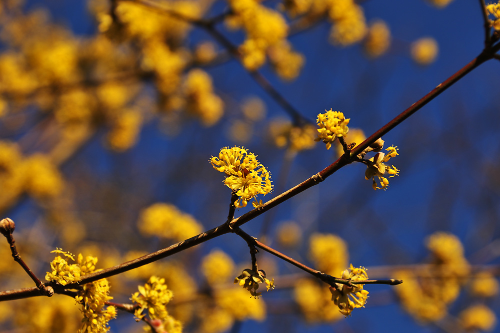 die Sehnsucht nach Farben