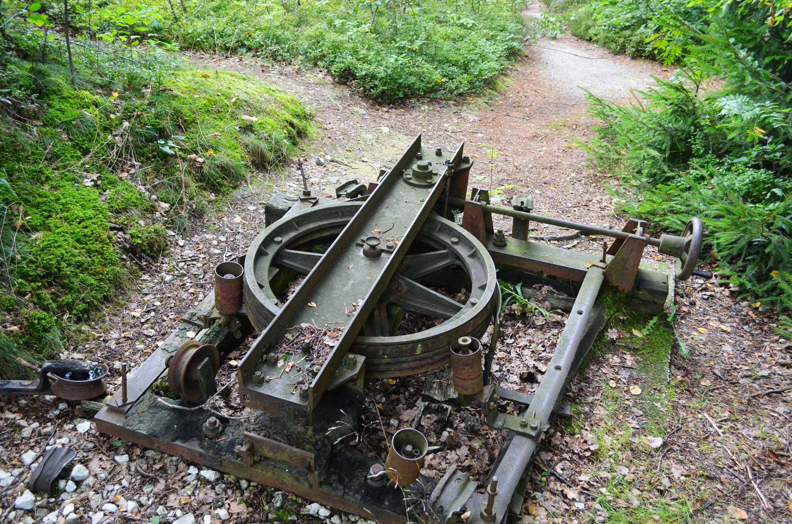 Die Seilbremse im Wald