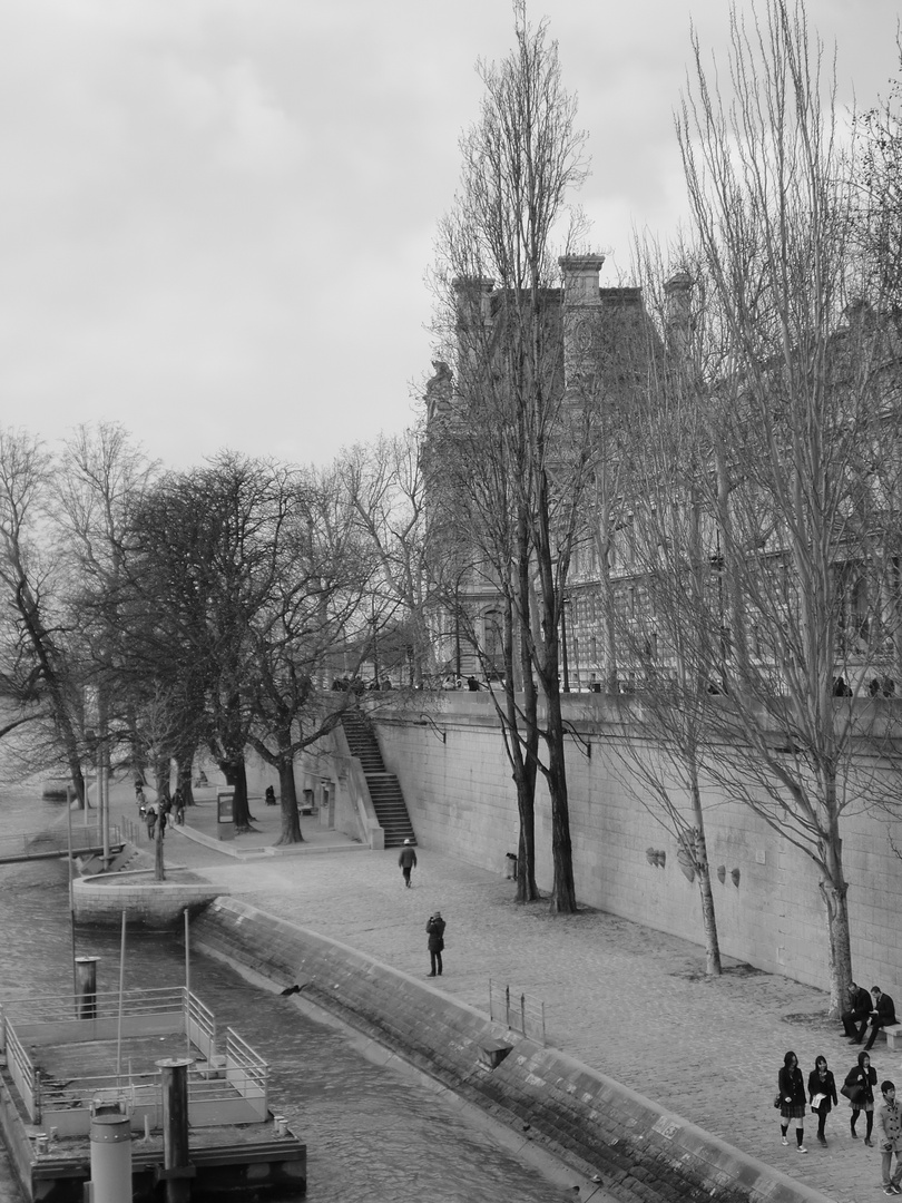 Die Seine in Paris