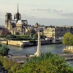 Die Seine Inseln Île Saint-Louis und Île de la Cité - Paris III