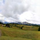 die Seiser Alm im August