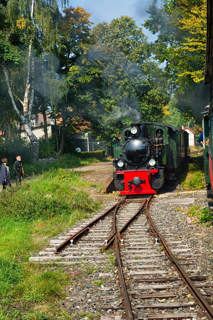 Die Selfkantbahn