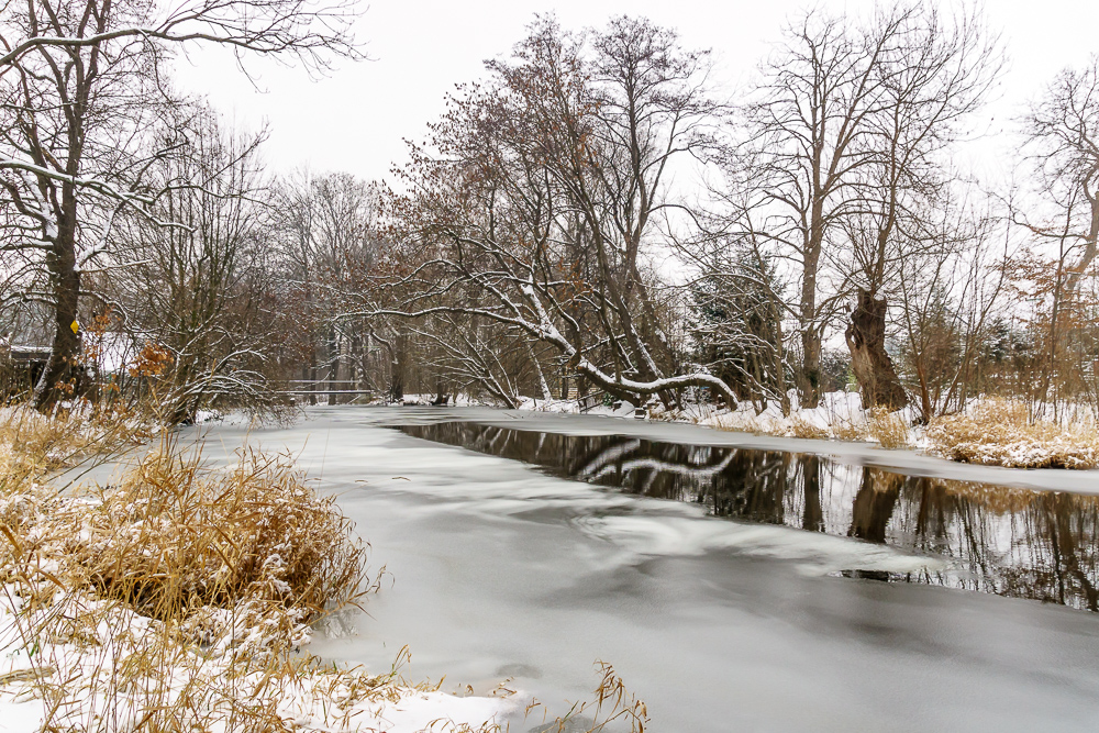 Die Selke friert