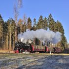 Die Selketalbahn bei Sternhaus