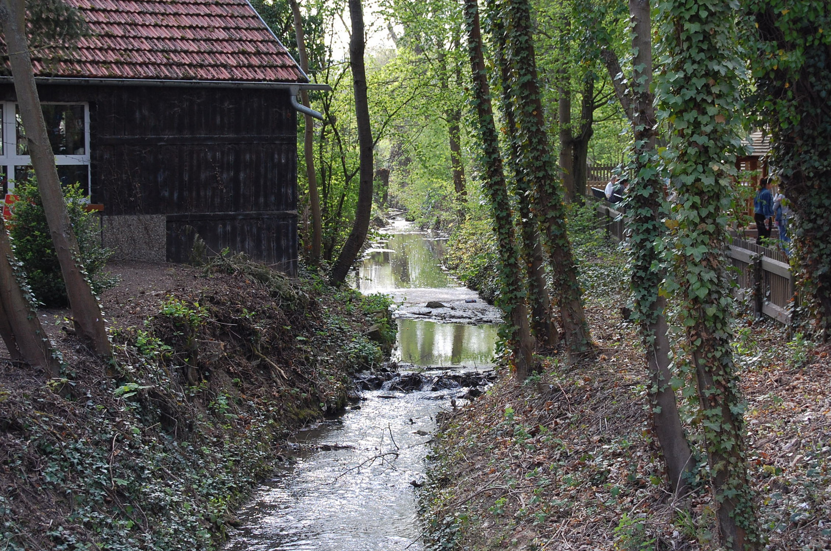 Die Selz bei Alzey