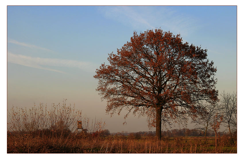 die serengeti