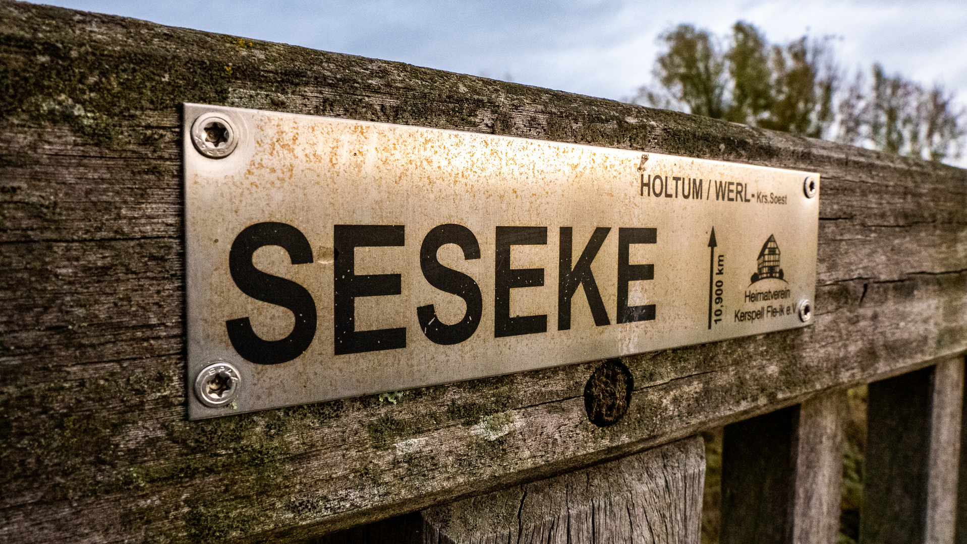 Die Seseke