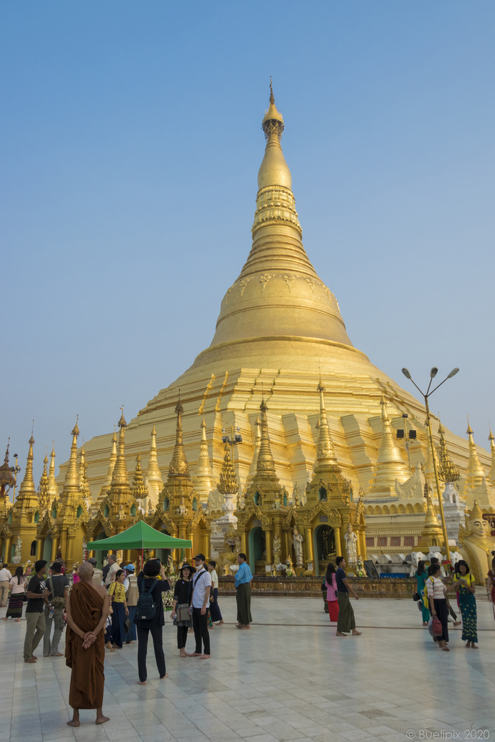 die Shwedagon-Pagode in Yangon (© Buelipix)