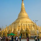 die Shwedagon-Pagode in Yangon (© Buelipix)