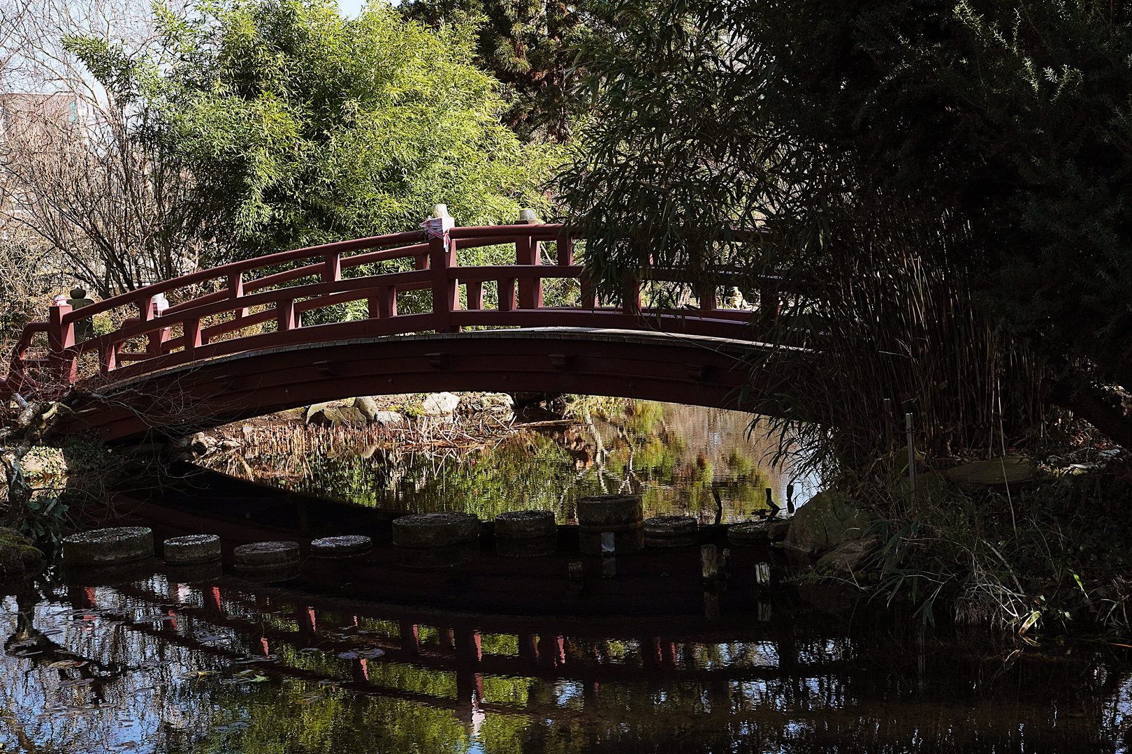 die sich spiegelnde Brücke 