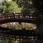 die sich spiegelnde Brücke 