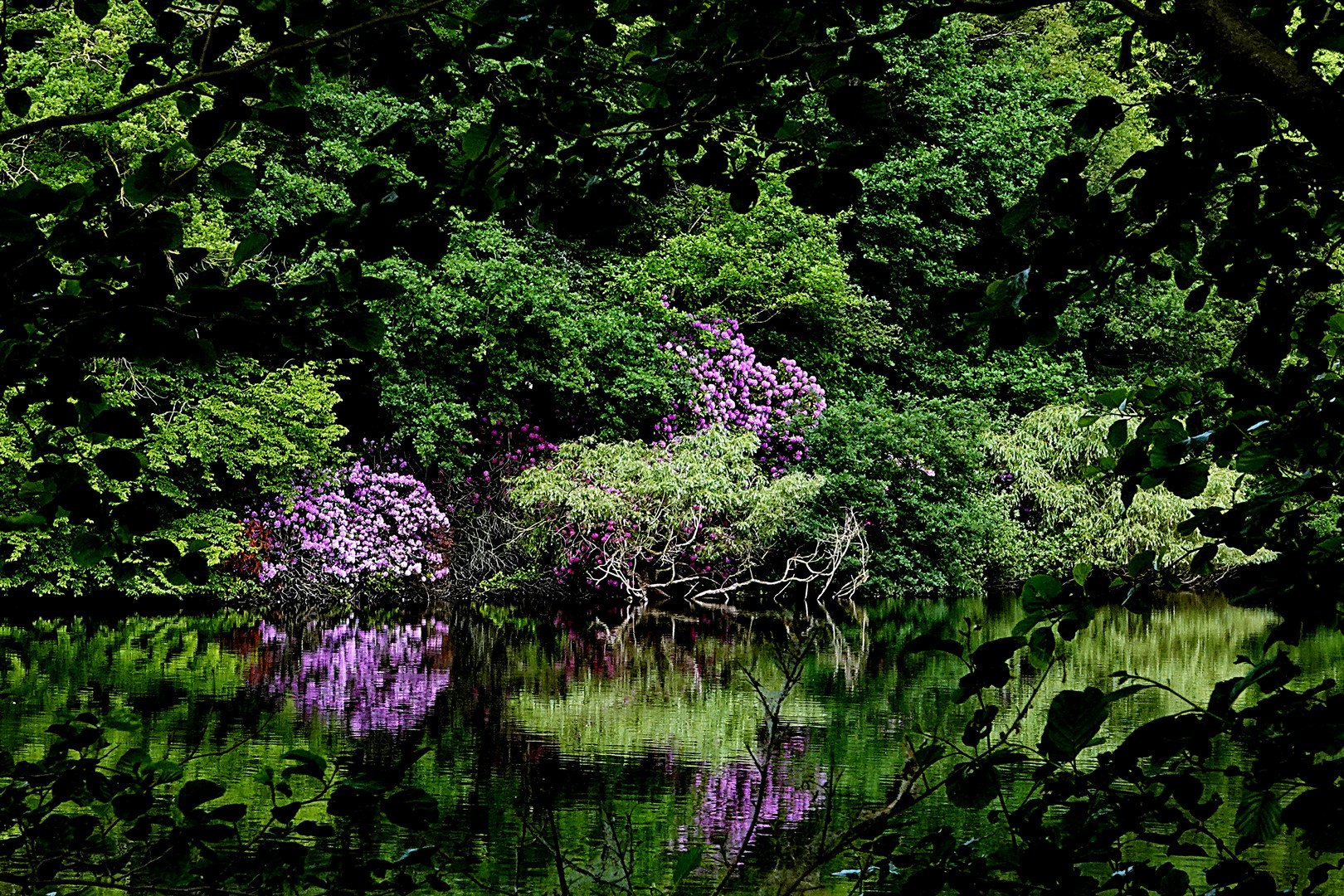 die sich spiegelnde Natur