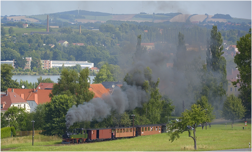 Die Sicht der Rösser auf's Dampfroß