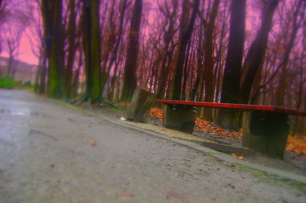 Die Sicht Eines Schwanzes Die Sicht Eines Schwanzes