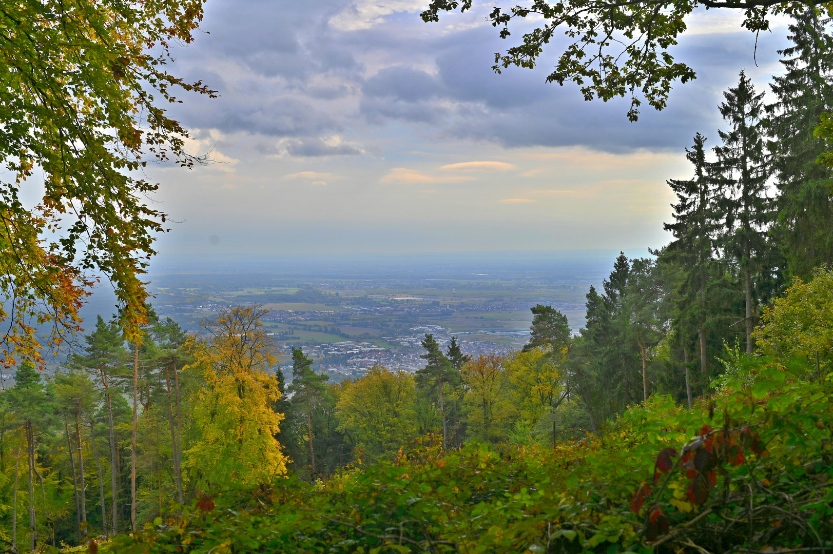 Die Sicht in die Rheinebene war gedämpft durch den Nebel