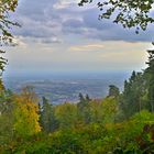 Die Sicht in die Rheinebene war gedämpft durch den Nebel