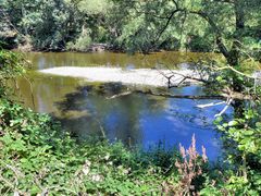 Die Sieg braucht Wasser