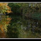 Die Sieg im Oktober