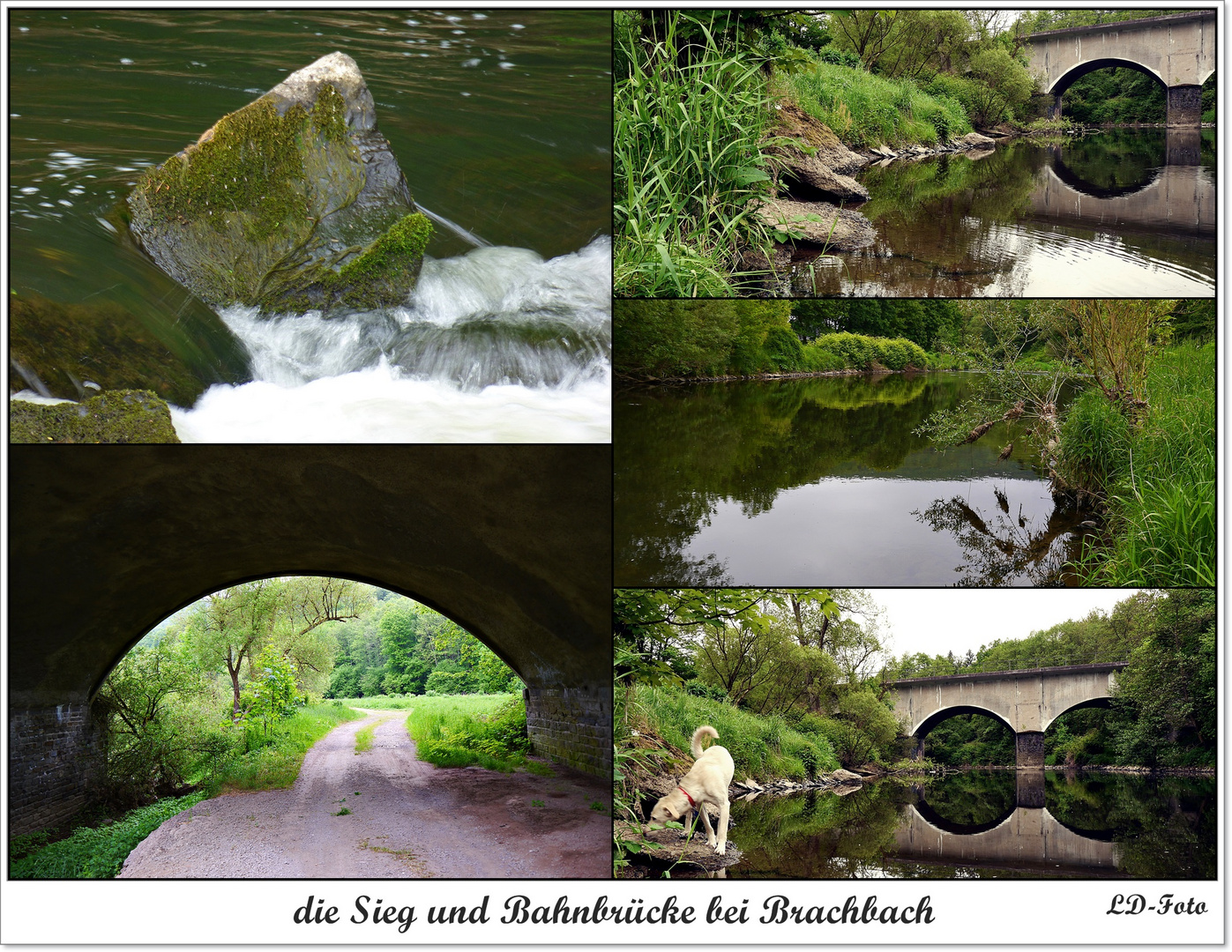 die Sieg und Bahnbrücke bei Brachbach