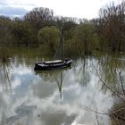 Die Siegaue mit Hochwasser