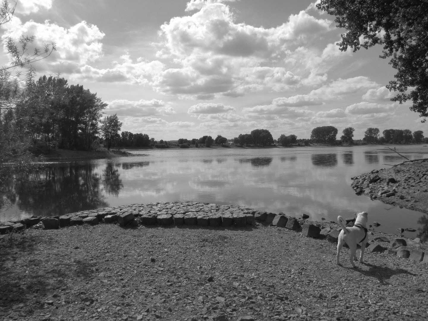 Die Siegmündung :)