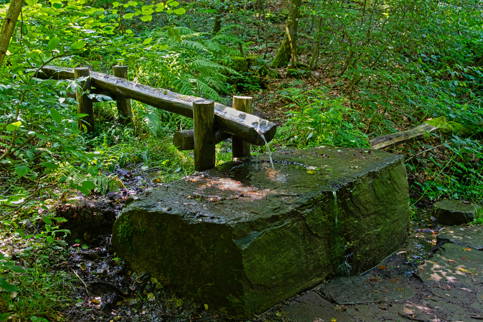 Die Siegquelle im Sauerland