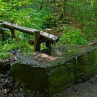 Die Siegquelle im Sauerland