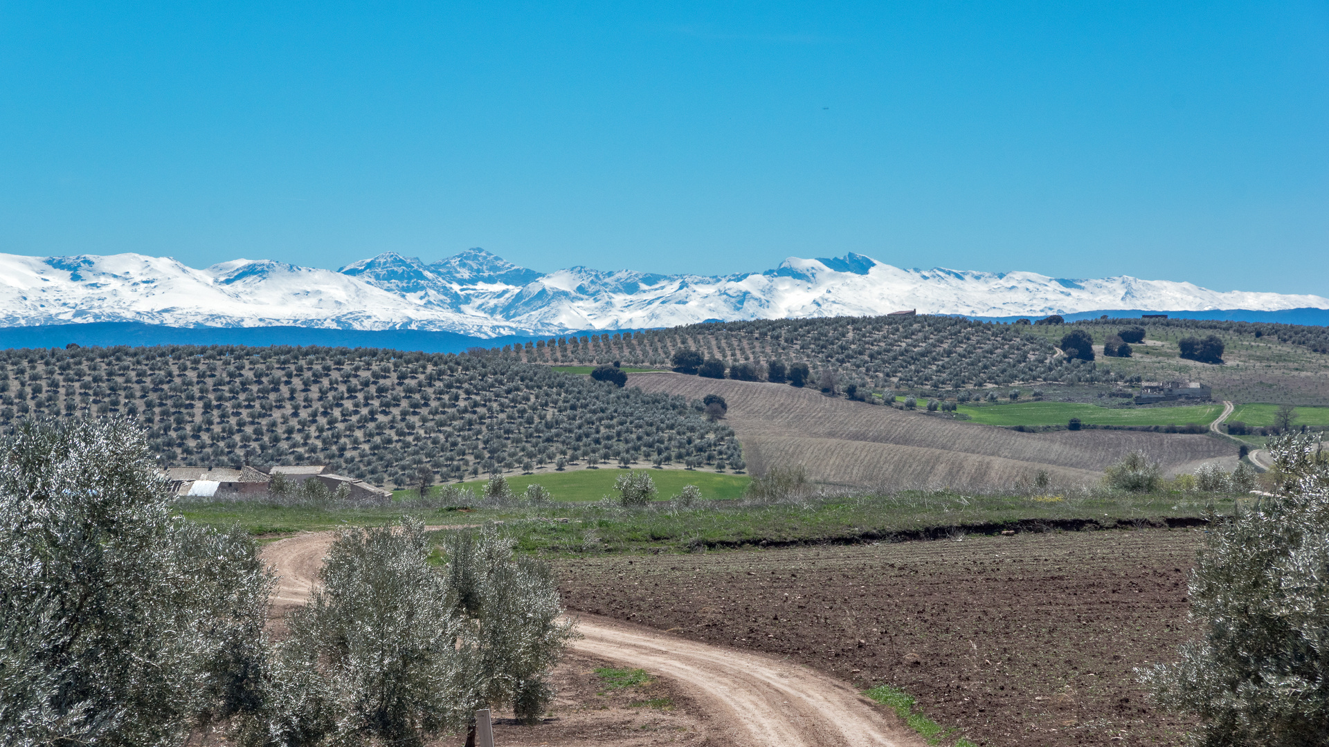 Die Sierra Nevada mit ihren schneebedeckten Höhen