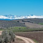 Die Sierra Nevada mit ihren schneebedeckten Höhen