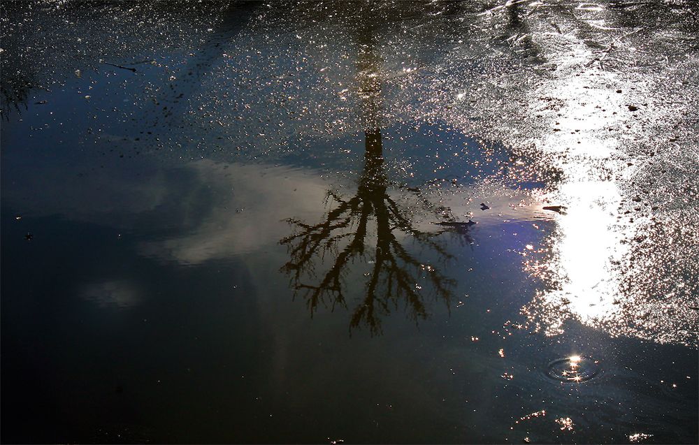 die silberne Spiegelung von Julka Alexandar 