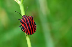 Die sind sturmerprobt