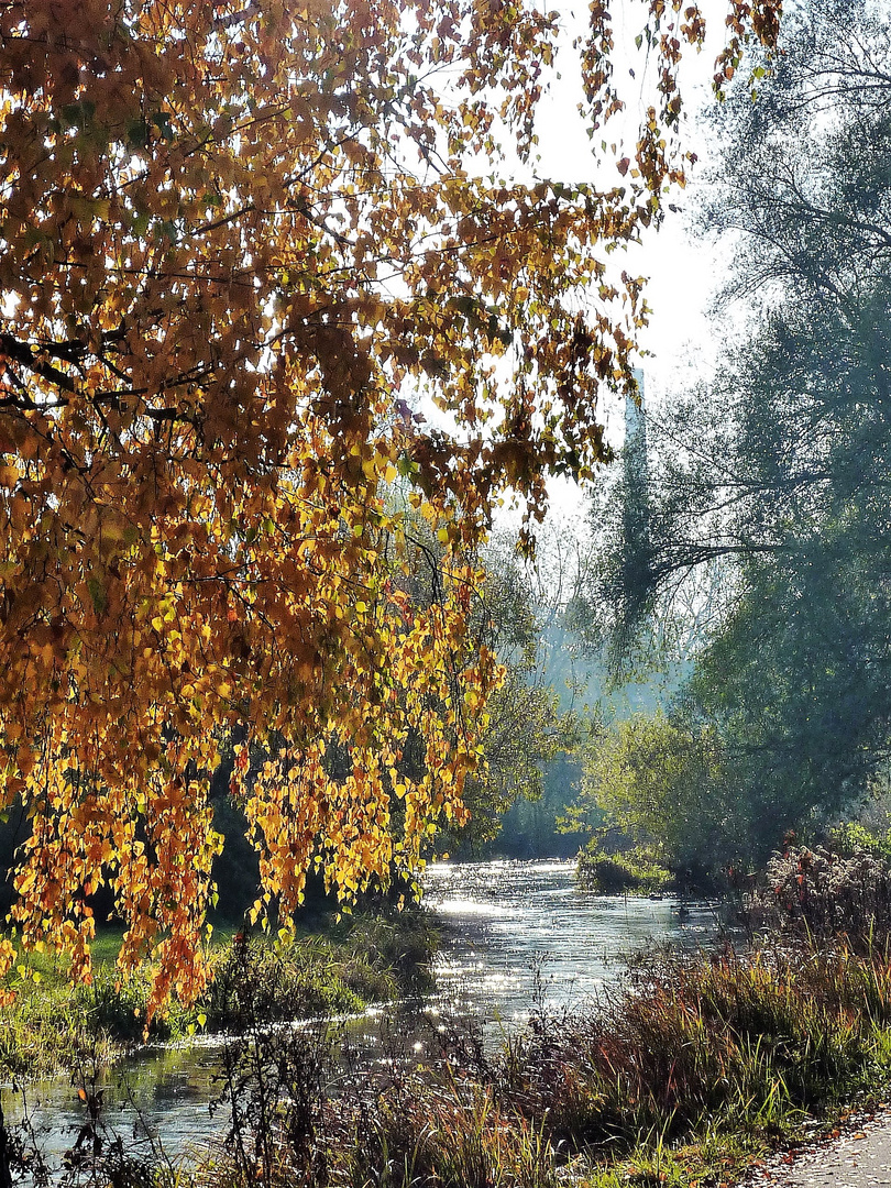 Die Singold in Bobingen