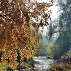 Die Singold in Bobingen